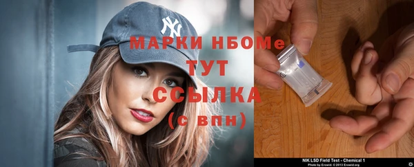 ГАЛЛЮЦИНОГЕННЫЕ ГРИБЫ Аркадак