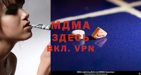 ГАЛЛЮЦИНОГЕННЫЕ ГРИБЫ Аркадак