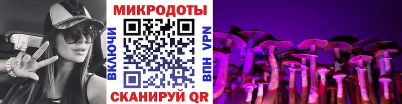 Галлюциногенные грибы Psilocybe  цены   Руза 